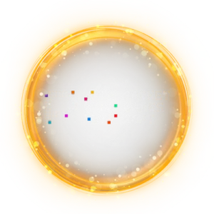 pg